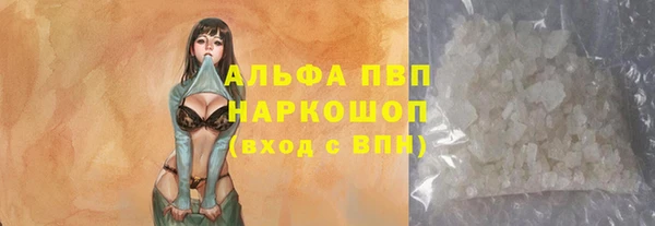 стаф Горняк