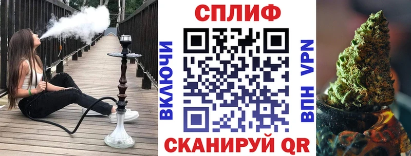 Конопля план Купить где Терек